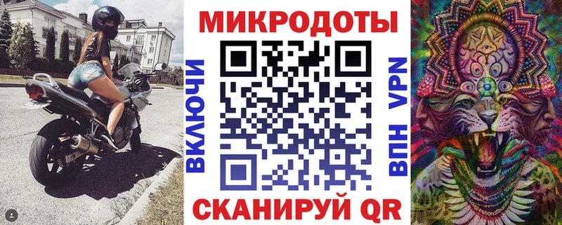 Галлюциногенные грибы Psilocybine cubensis  Соль-Илецк 